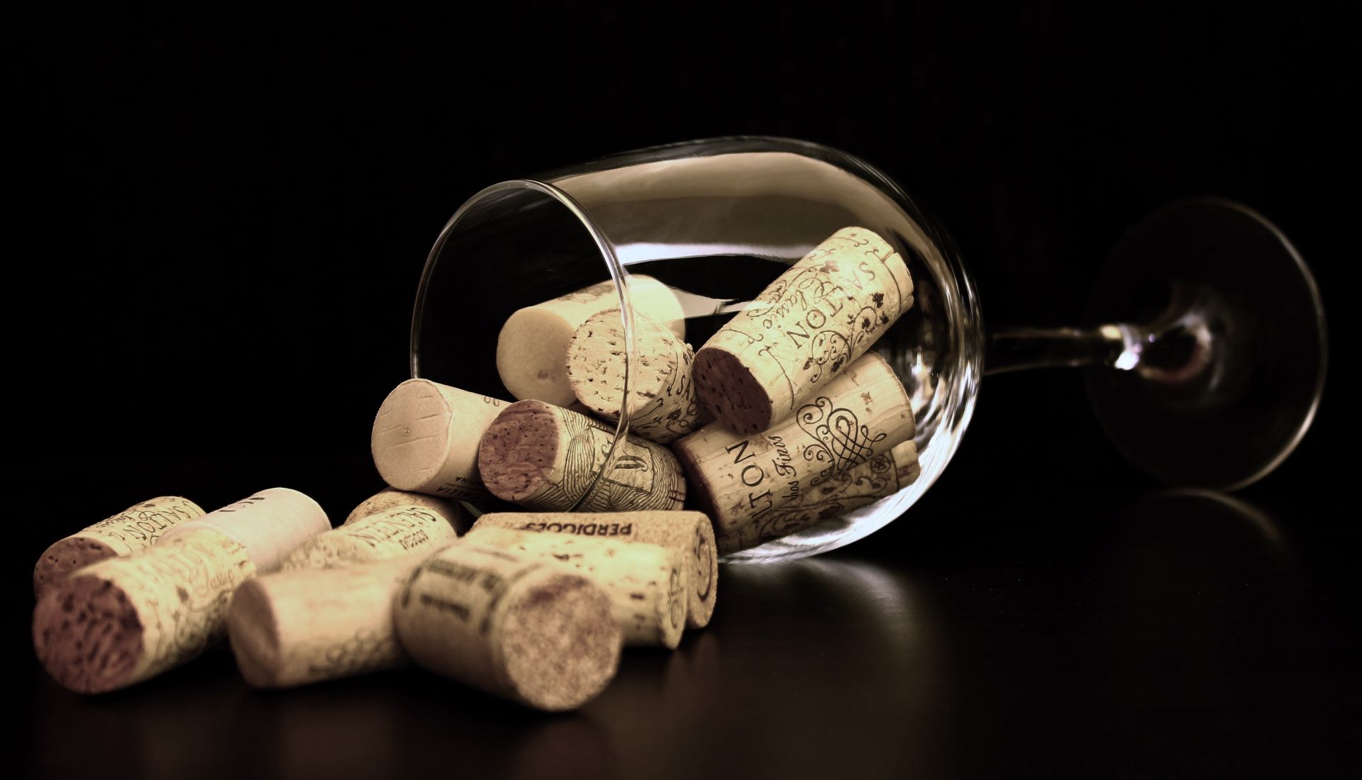 ATELIER SUPPLEMENTAIRE n°7 : Les vins de tous les jours et du week-end