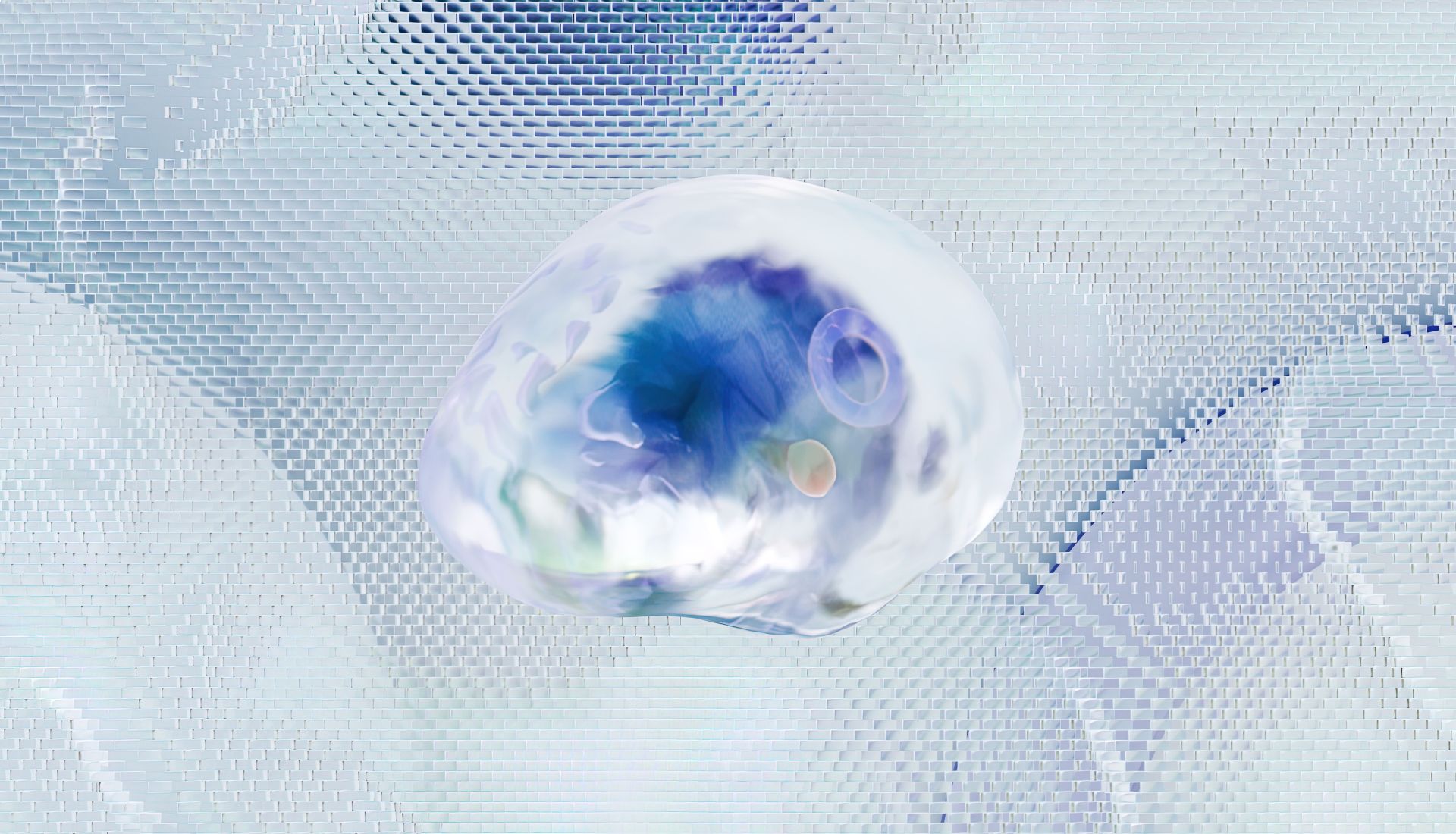 Cerveau et mémorisation : Atelier 3 