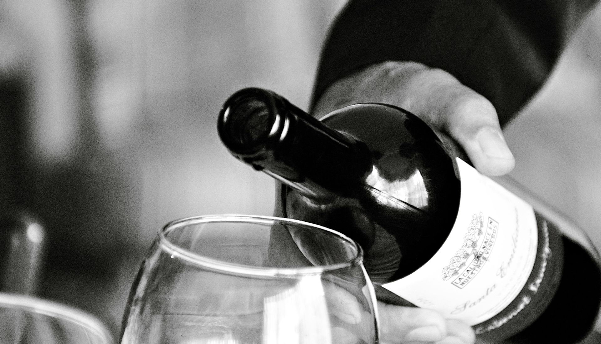 Les meilleurs vins du Palatinat (Pfalz)