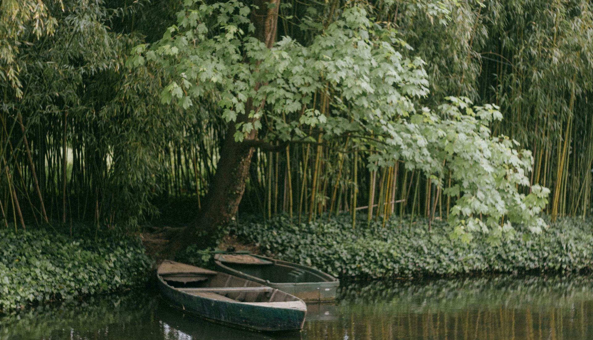 ART : Monets Küste + La compétition avec la réalité