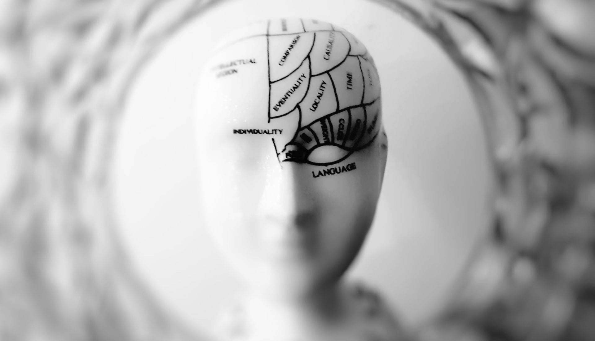 Cerveau et mémorisation : Atelier 1 