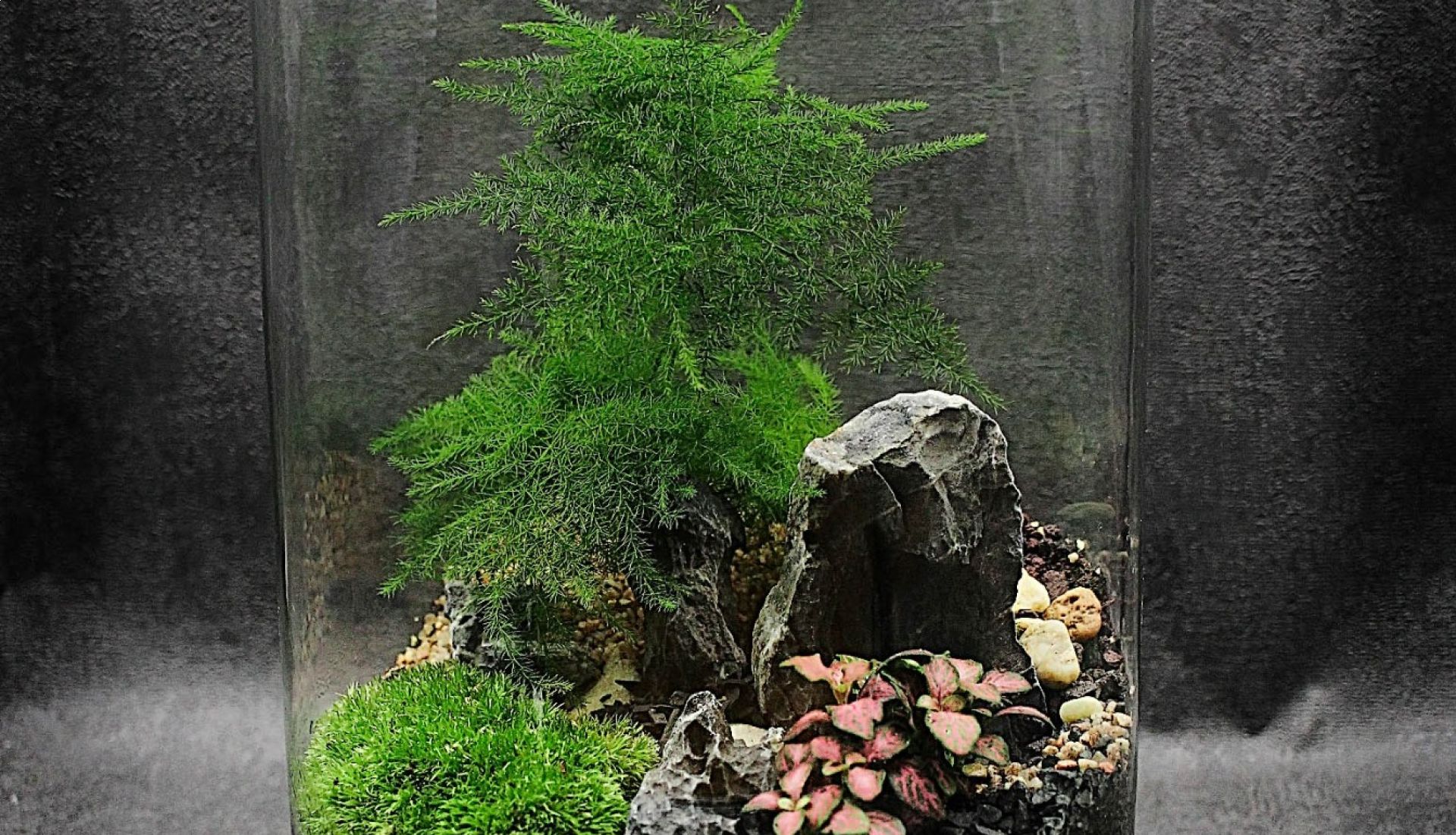 Atelier Terrarium 2 Atelier Terrarium 2