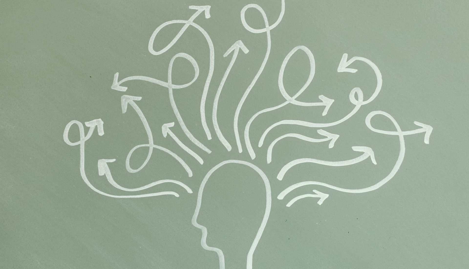 Cerveau et mémorisation : Atelier 2 